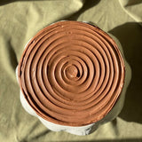 Vanilla Cake with Chocolate Icing